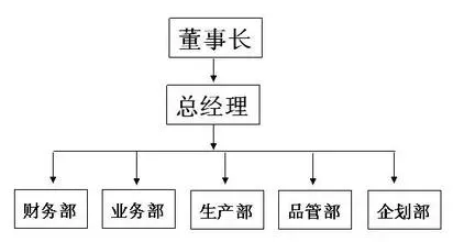 公司组织架构